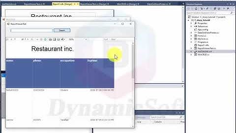 How to display RDLC report into ReportViewer control using C# code SQL server tutorial-4
