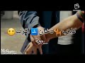 كلاب دخان حالة واتس 