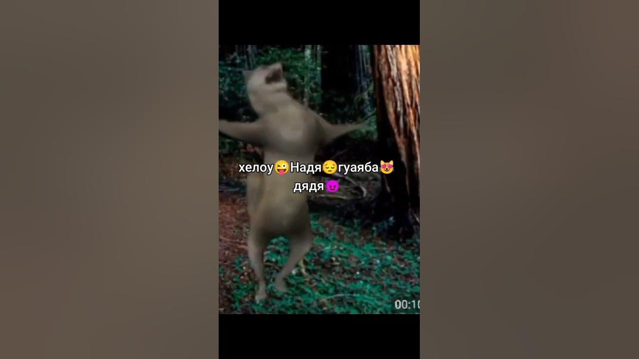 гуаяба дядя ️😀😭😭😀 - YouTube