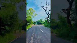 letest Punjabi song status #short #shorts #trending #viral #status #bikelover #nature #punjabisong