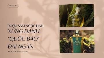 RƯỢU SÂM NGỌC LINH TU MƠ RÔNG KON TUM - XỨNG DANH QUỐC BẢO ĐẠI NGÀN