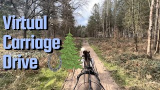 Virtual Carriage Ride Relaxing Mindful ASMR 30 mins Forest Trail