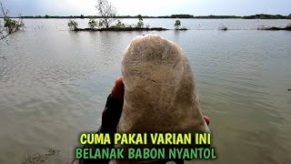 The Baboon Eats It Right Away!!! Fishing for Mullet with Secret Flour Bait