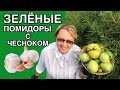 ЗЕЛЁНЫЕ ПОМИДОРЫ С ЧЕСНОКОМ НА ЗИМУ - ВКУСНО И БЫСТРО | МАРИНОВАННЫЕ ПОМИДОРЫ