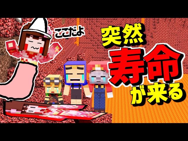 【マイクラ】平和ボケで油断した!!寿命があるマイクラ!ep4【あしあと】 【マイクラ】平和ボケで油断した!!寿命があるマイクラ!ep4【あしあと】