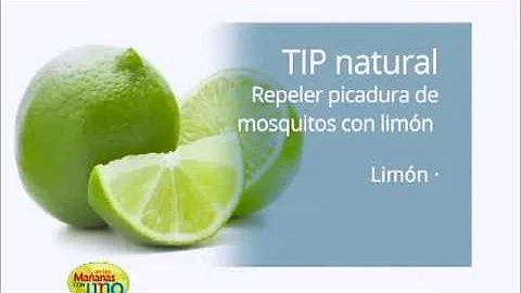 ¿El limón repele a los mosquitos?