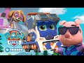 PAW Patrol and Mighty Express Animal Rescue Episodes! Cartoons for Kids Compilation 52