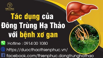 TÁC DỤNG CỦA ĐÔNG TRÙNG HẠ THẢO VỚI BỆNH XƠ GAN | Đông Trùng Hạ Thảo THIÊN PHÚC