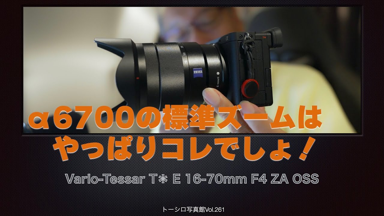 SONY E16-70mm F4 ZA OSS SEL1670Z - レンズ(ズーム)