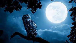 Night Owl Ringtone | Free Ringtones Downloads