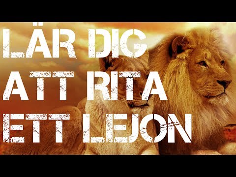 Video: Hur Man Lär Sig Att Rita Ett Lejon