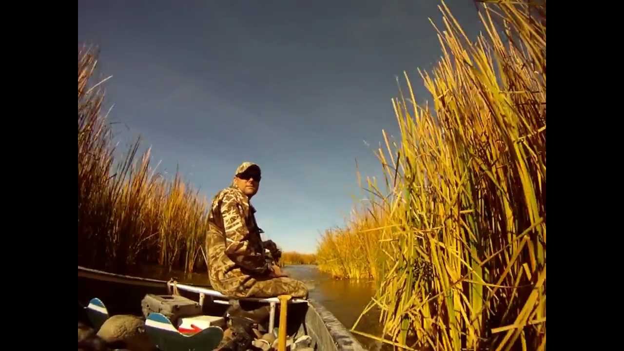 Duck hunting Farmington Bay Utah YouTube