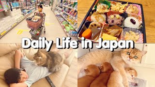 Daily life in Japan | japan supermarket by Bee Abe 254 views 2 years ago 15 minutes