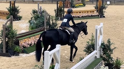 TIEC - October 5: 16-17 Junior Hunter 3’3” O/F on With Regard