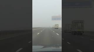 Dense fog blankets Abu Dhabi and Dubai