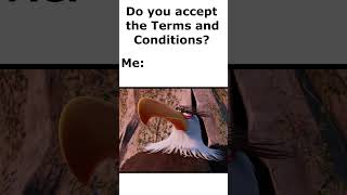 🦅NO🦅 🦅NO🦅