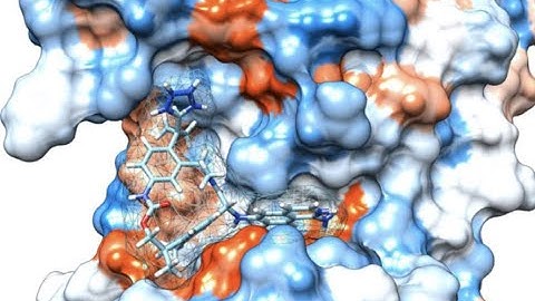 Tutorial for Performing MM/GBSA and MM/PBSA free energy calculations from MD simulations with amber