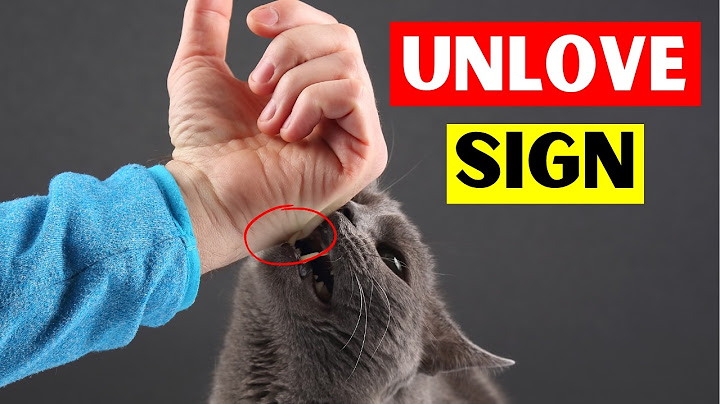 5 Signs Your CAT DOESN'T LOVE You (Even If You Think They Do)