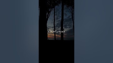 ربنا لا تزغ قلوبنا بعد إذ هديتنا | عبدالرحمن مسعد | سورة آل عمران