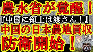 【うおお！遂に農水省『これ以上中国企業に日本の農地を買わせないぞ！』そう！それなんだよぅ！】米国では中国人に農地を買わせない法律まで出来てるのに呑気だった農林水産省が遂に覚醒だぁ！小さい一歩だけど正し