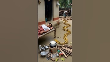 😱 Sleeping Woman & Giant Snake | Cinematic AI Animation #CinematicAI #AIShorts #aianimation #shorts