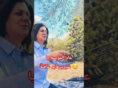 ذكريات شيرين تعود موسم الحزن في فلسطين