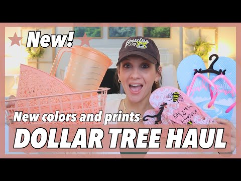 DOLLAR TREE HAUL