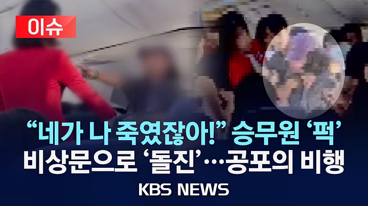 [이슈] "이륙하자마자 기내 욕설·난동"…40대 승객 체포/2025년 6월 30일(월)/KBS