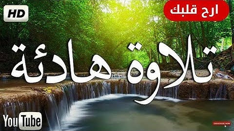 قد أفلح من زكاها | سورة الشمس | تلاوة هادئة | بصوت احمد على