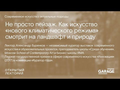 Видео: Информация об атлантическом белом кедре - Как выращивать атлантический белый кедр