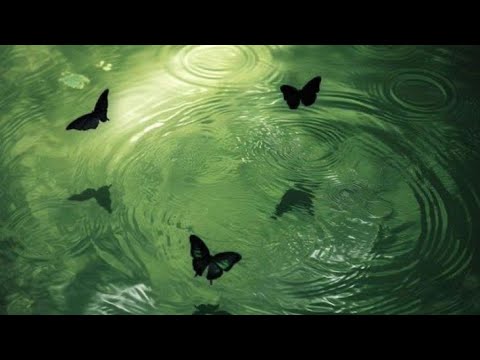 كيف حصلتي على الجسد المرغوب الومينال الحصول ع الجسد المرغوب و الالتزام ب الرياضة