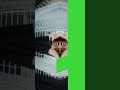 Hulyo 12 2025 Hulyo 12 2025