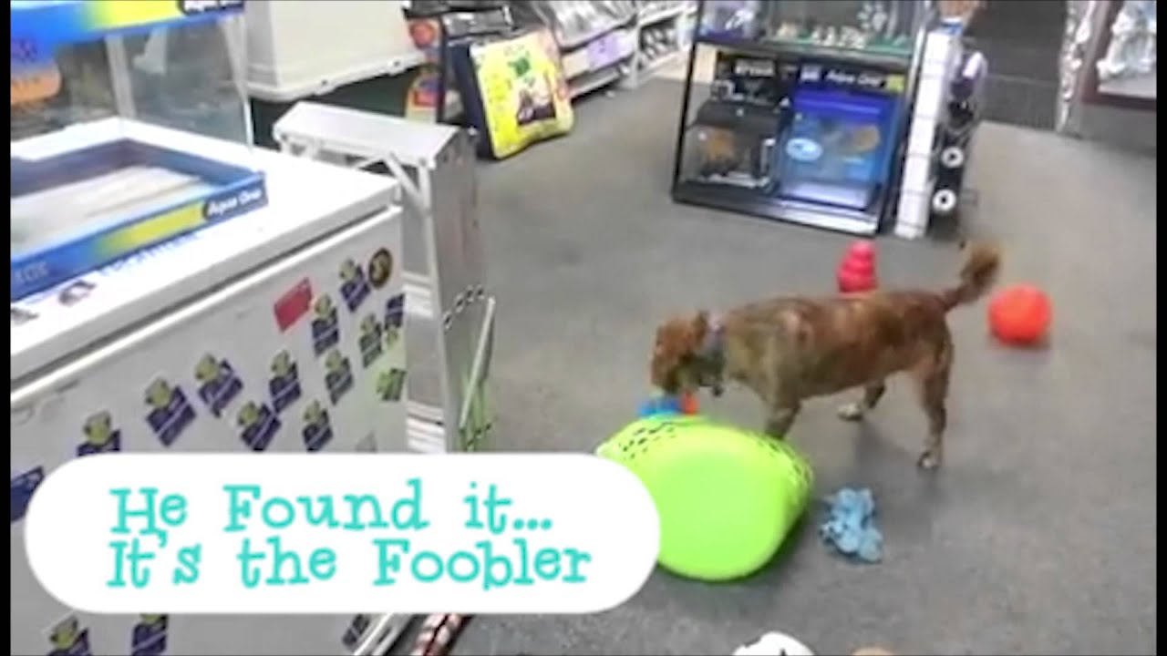 foobler dog toy