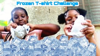 FROZEN T-SHIRT CHALLENGE!! 👕