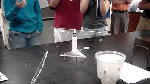 Apple coddling moth on a flight mill