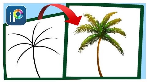 How to draw palm tree /coconut tree || step by step for beginners ibis Paint X || easy and simple