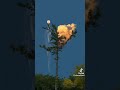 🌲 Nature & Forest Videos🌅 Beautiful Sunsets🎥 Daily Relaxing Content