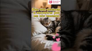 Adote um Gato e Descubra o Amor Silencioso | Benefícios de Ter um Gato #smartcatsecrets #gatos #gato