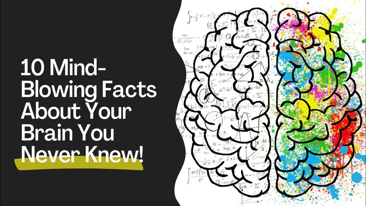 10 MindBlowing Facts About Your Brain You Never Knew Fatcually Speaking YouTube