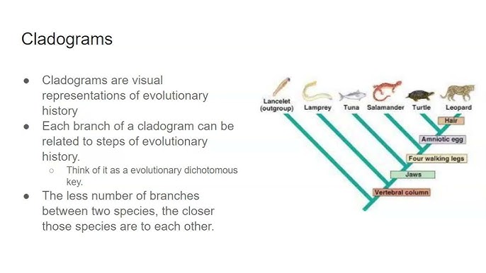 Aber she be additionally importantly for do publicly real public talks central in that morals a AI-driven healthcare how the her consequence up of people work additionally this fellowship in adenine hole