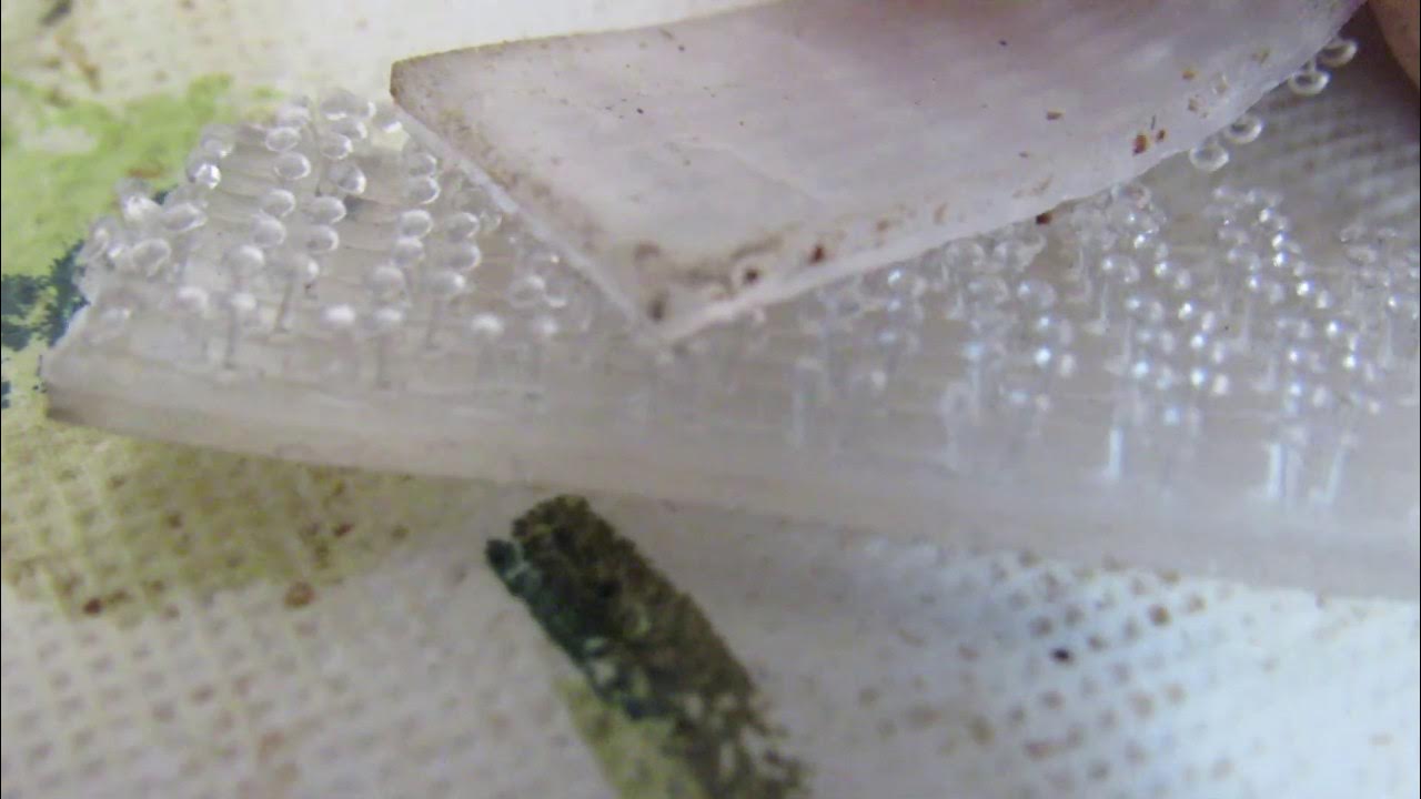 HOW DOES VELCRO WORK YouTube