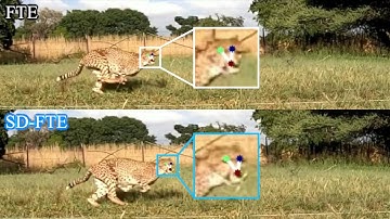 Improving 3D Markerless Pose Estimation of Animals in the Wild using Low-Cost Cameras (IROS 2022)