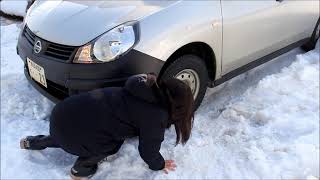 雪道脱出具 スグラ 安達紙器工業株式会社