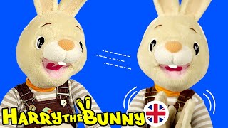 Baby Learning First Words W Harry The Bunny Games & Fun For Babies Educational Videos For Kids