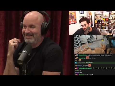 Thumbnail for Tom Segura Left SPEECHLESS After Joe Rogan Rant | Hasanabi reacts