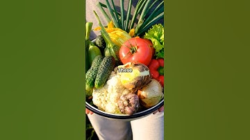 Top 7 SELENIUM Rich Foods! #shorts #shortsfeed #food