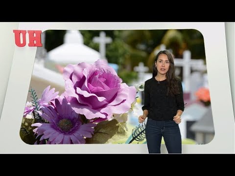 Video: ¿Llevarías a un bebé a un funeral?
