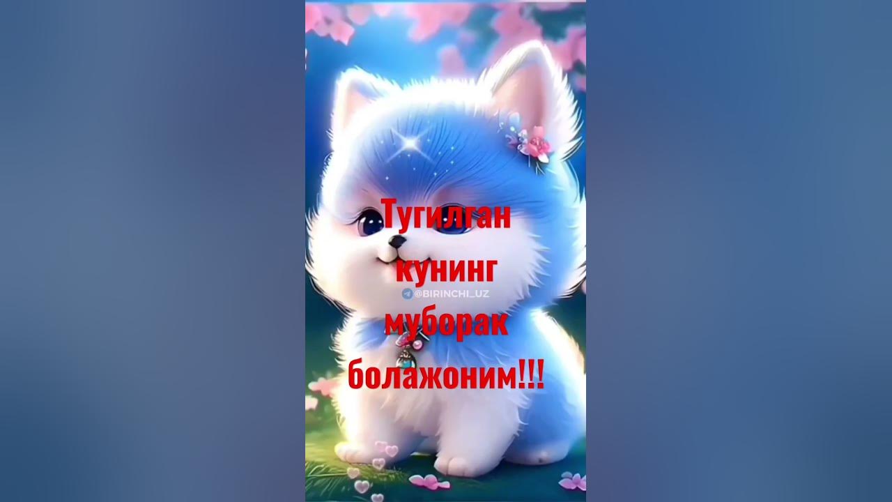 Тугилган кун нишонлаётганларга жунатиб куямиз!!! - YouTube