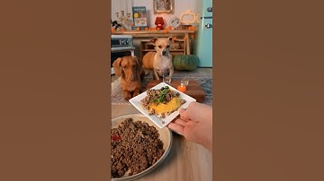 This is a recipe for seniors dogs from our cookbook, The Dog’s Table!