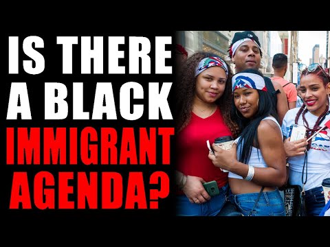 Is There an Anti-Black American Agenda? @The Black Authority